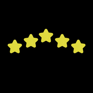 Program Manager